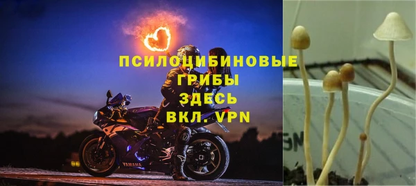 apvp Алексин