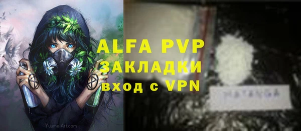apvp Алексин