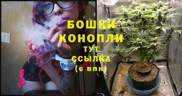 PSILOCYBIN Покровск