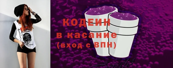 ECSTASY Алзамай
