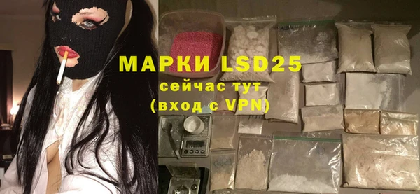 ECSTASY Алзамай