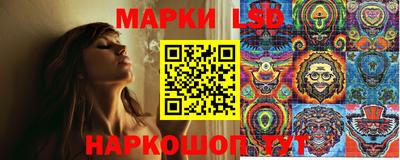 прущие грибы Ангарск