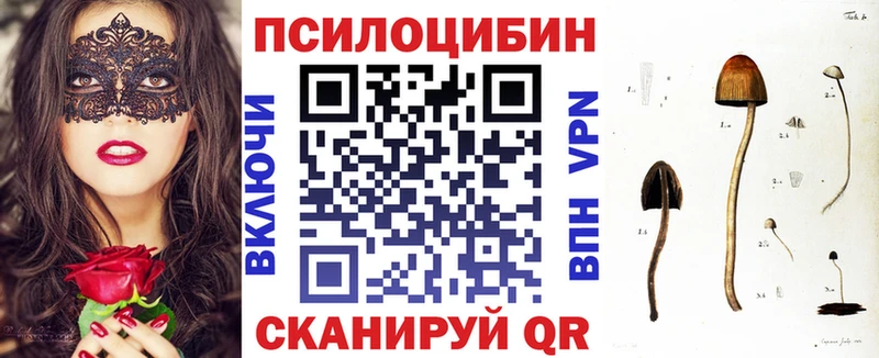 Галлюциногенные грибы Cubensis  Старая Русса 