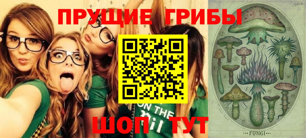 Галлюциногенные грибы мухоморы  купить закладку  Псилоцибиновые грибы Psilocybe  Старая Русса  Вход с VPN 