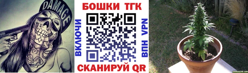 Бошки Шишки Amnesia  Старая Русса 