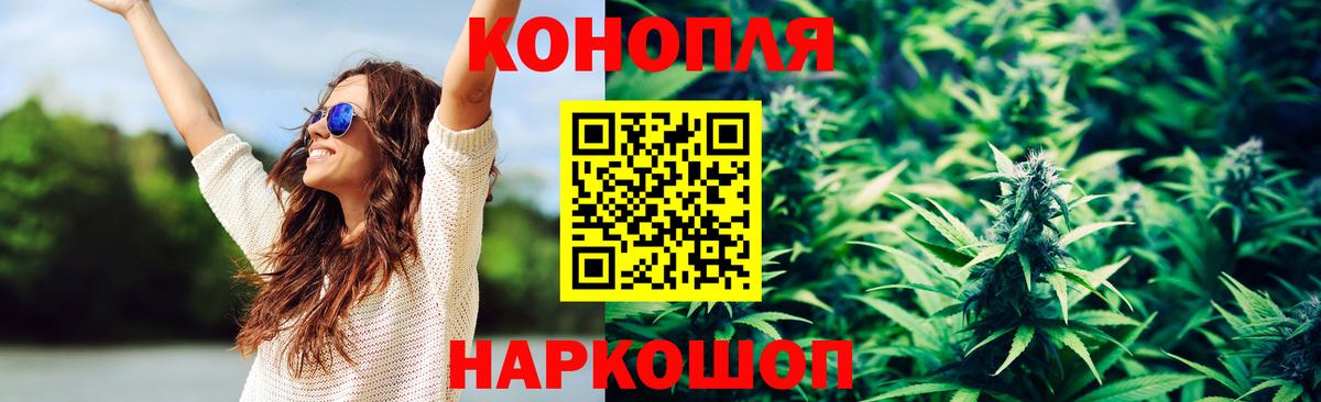 Марихуана гибрид Старая Русса